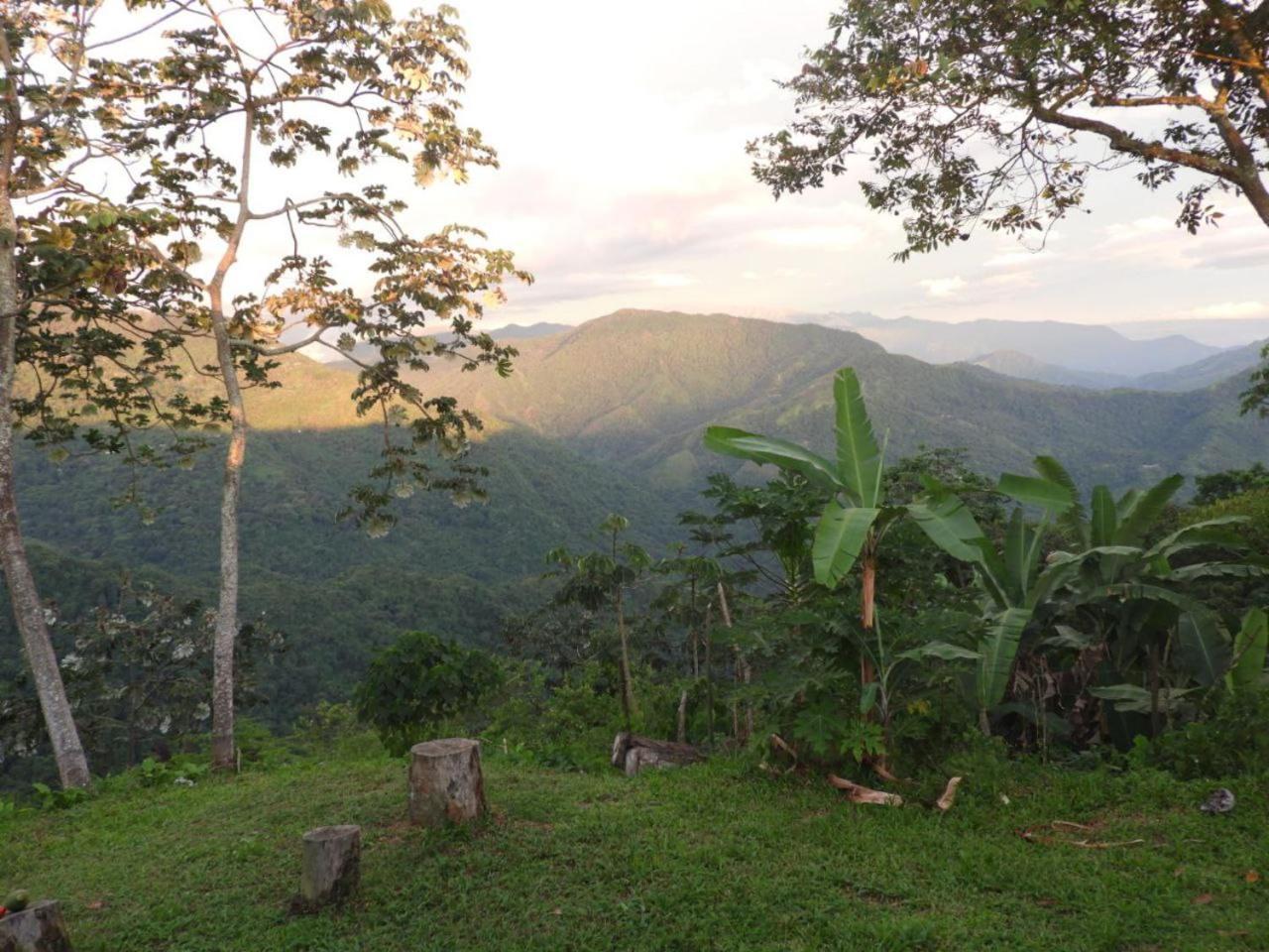 Hotel Y Restaurante Mirador Aires De La Sierra, มินกา ภายนอก รูปภาพ