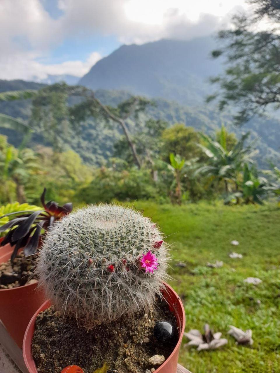 Hotel Y Restaurante Mirador Aires De La Sierra, มินกา ภายนอก รูปภาพ